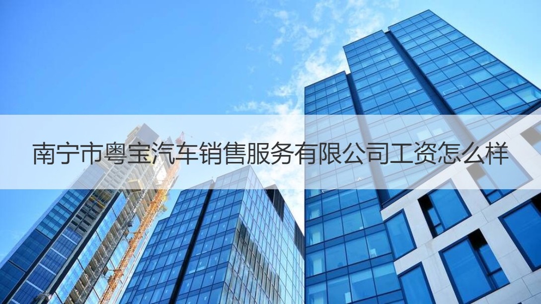 南寧市粵寶汽車銷售服務(wù)工作薪資與二手日用百貨銷售對(duì)比分析